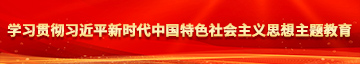 91中文字字幕人人版学习贯彻习近平新时代中国特色社会主义思想主题教育
